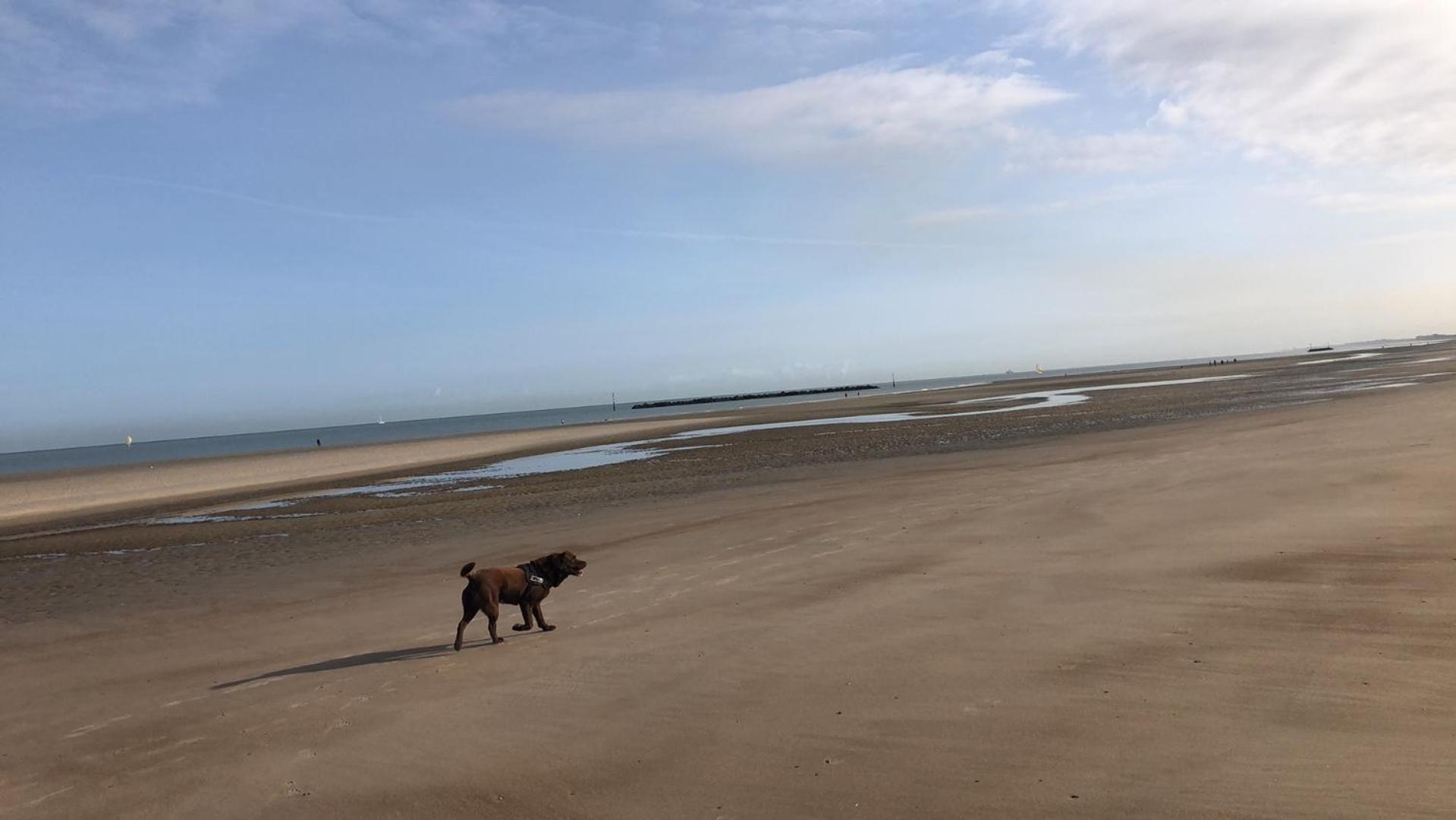 Appartement Sur La Plage De Malo Les Bains Vue Mer Dunkierka Zewnętrze zdjęcie