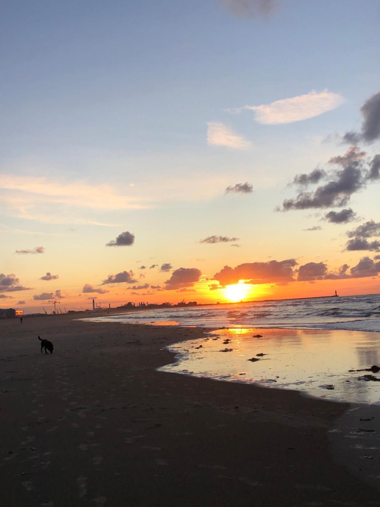 Appartement Sur La Plage De Malo Les Bains Vue Mer Dunkierka Zewnętrze zdjęcie